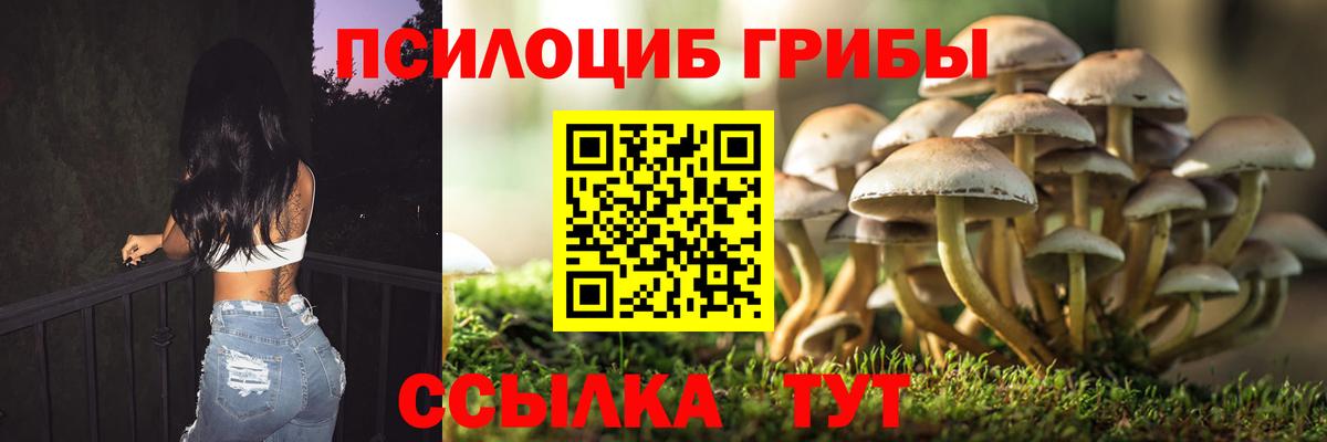 Псилоцибиновые грибы Psilocybe  Галлюциногенные грибы мицелий  Вход с VPN  Ишимбай 
